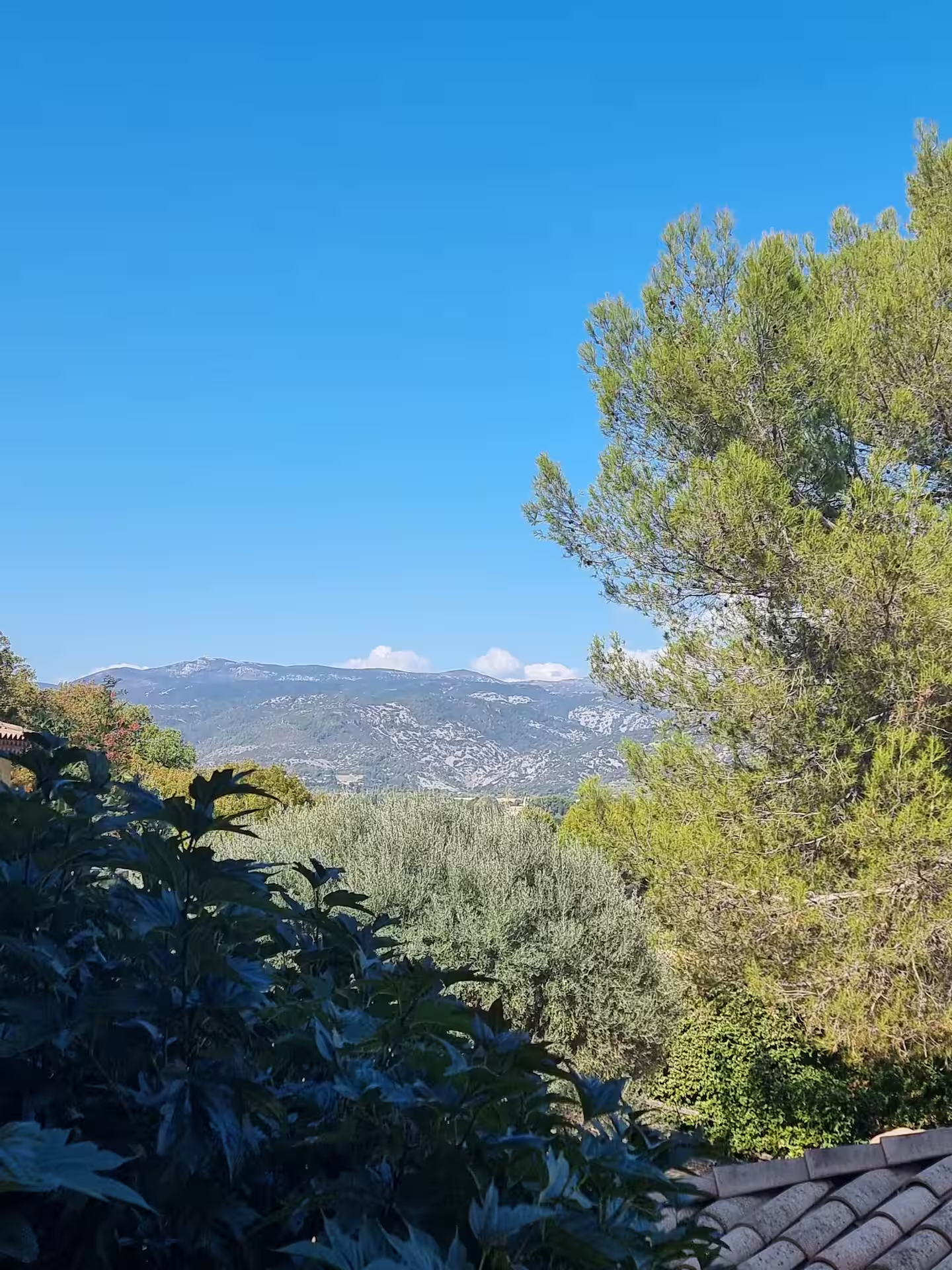 Vue panoramique